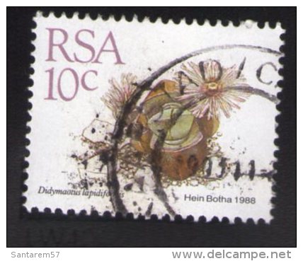 Afrique Du Sud 1988 Oblitération Ronde Used Stamp Plante Vivace Didymaotus Lapidiformis - Gebraucht