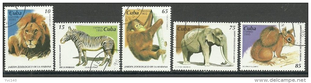 Cuba; 1995 Animals From Havana Zoological Gardens - Usati