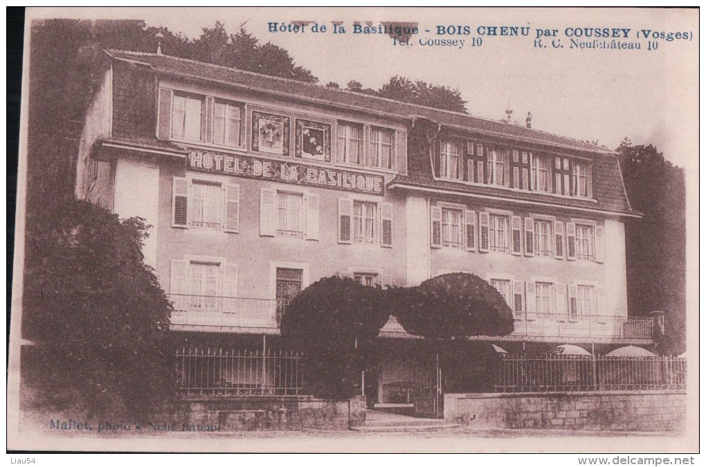 Hôtel De La Basilique BOIS CHENU Par COUSSEY - Coussey