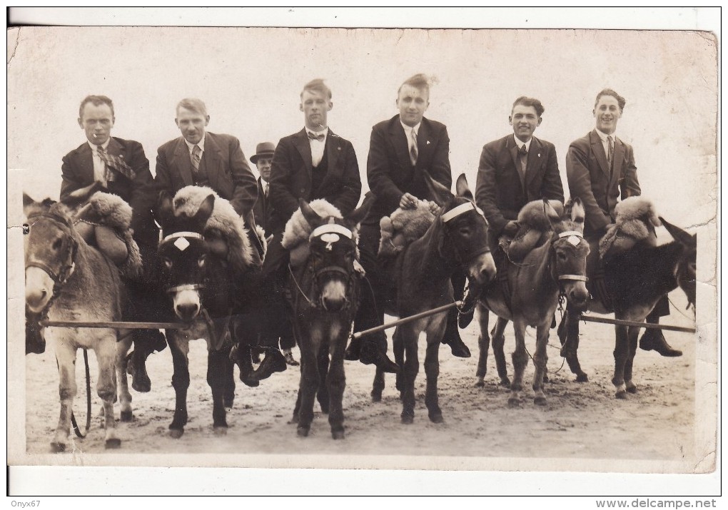 Carte Postale Photo Promenade En ANE - ANIMAUX - Scène De Plage BELGIQUE ? - - Donkeys