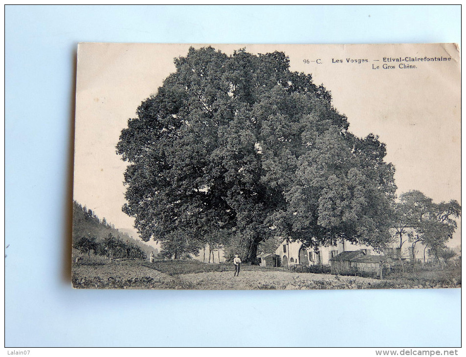 Carte Postale Ancienne : ETIVAL CLAIREFONTAINE : Le Gros Chêne , Animé - Etival Clairefontaine