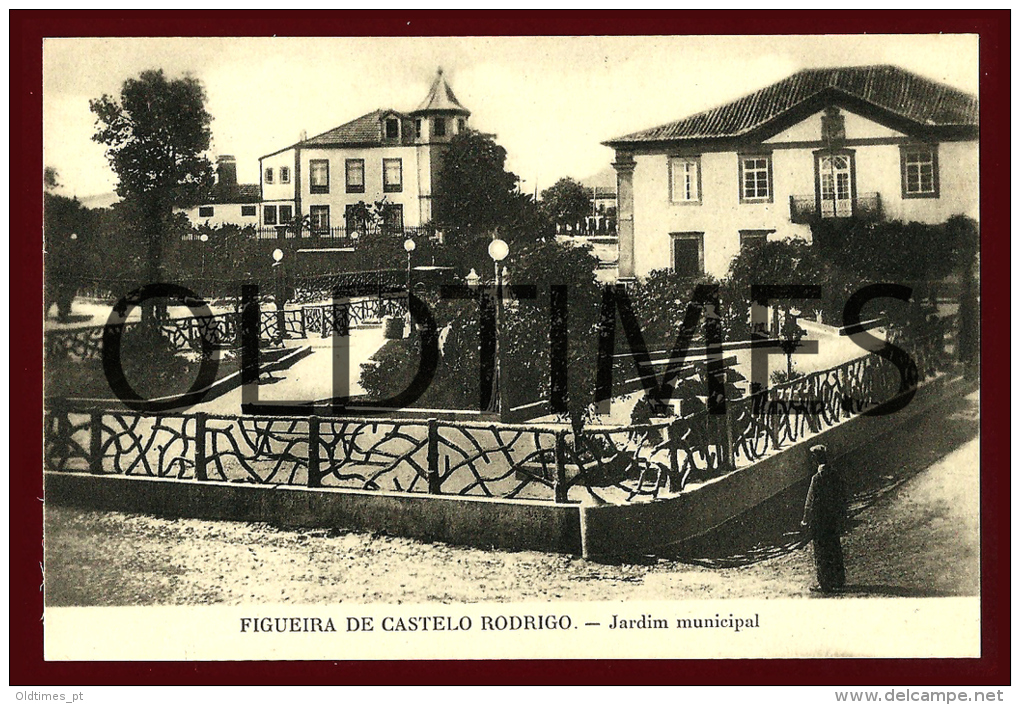 FIGUEIRA CASTELO RODRIGO - JARDIM MUNICIPAL - 1910 PC - Guarda