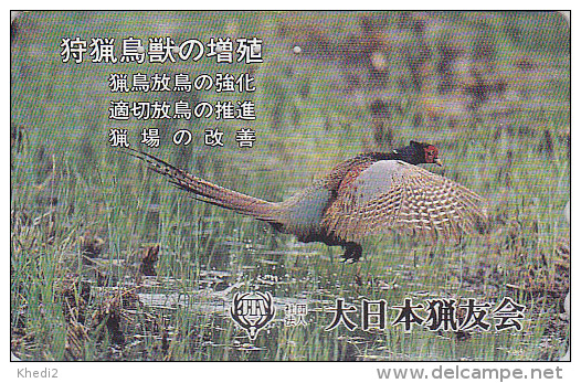 Télécarte Japon / 110-189656 - Oiseau FAISAN - PHEASANT Bird Japan Phonecard - FASAN Vogel Telefonkarte - 2484 - Hoenderachtigen & Fazanten