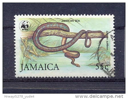 Jamaica 1994, WWF, Snake, Epicrates-Subflavus, Minr 592 Vfu. Cv 12 Euro - Jamaique (1962-...)