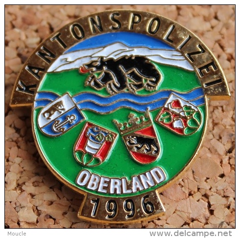 KANTON POLIZEI OBERLAND . SCHWEIZ - POLICE CANTONALE DE L'OBERLAND - SUISSE -   (8) - Politie