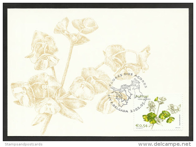 Portugal Açores Fleur Euphorbia Azorica Carte Maximum 2002 Azores Flower Maxicard - Maximum Cards & Covers