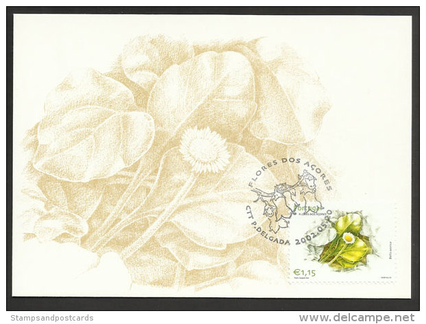 Portugal Açores Fleur Bellis Azorica Carte Maximum 2002 Azores Flower Maxicard - Cartes-maximum (CM)