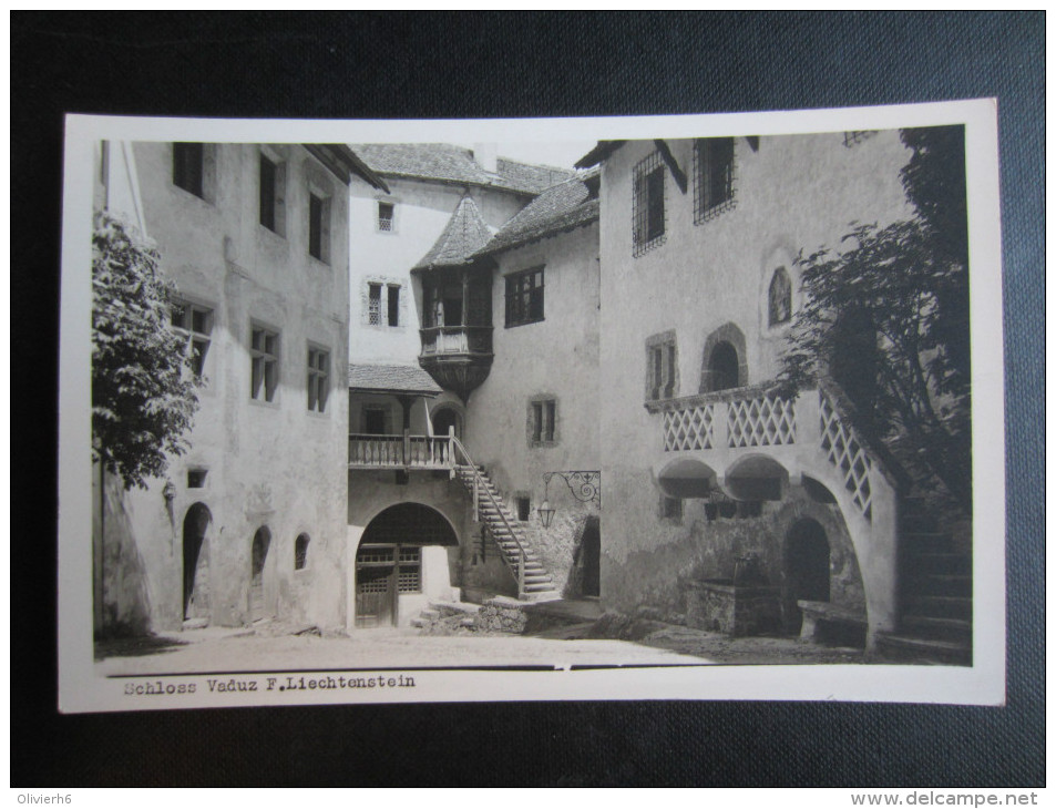 CP LIECHTENSTEIN (M1404) VADUZ (2 Vues) SCHLOSS VADUZ F Liechtenstein Photo A. Buck, Schaan Cours Exterieure - Liechtenstein