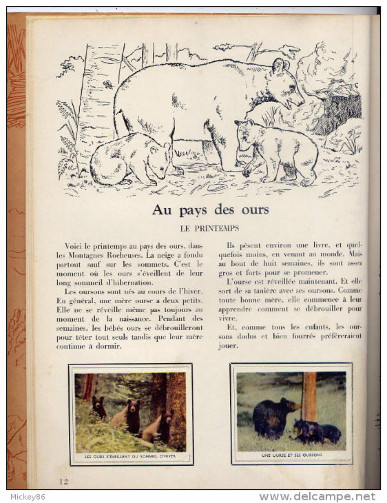 Album Complet-1956-L´encyclopédie Par Le Timbre N° 26--"C´est La Vie"---animaux Divers................... ..Walt Disney- - Albums & Catalogues