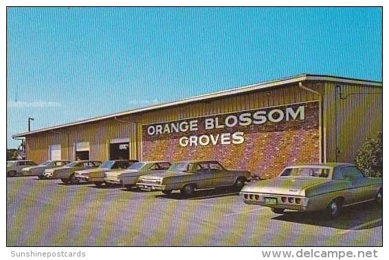 Florida Largo Orange Blossom Groves Citrus Store - Tampa