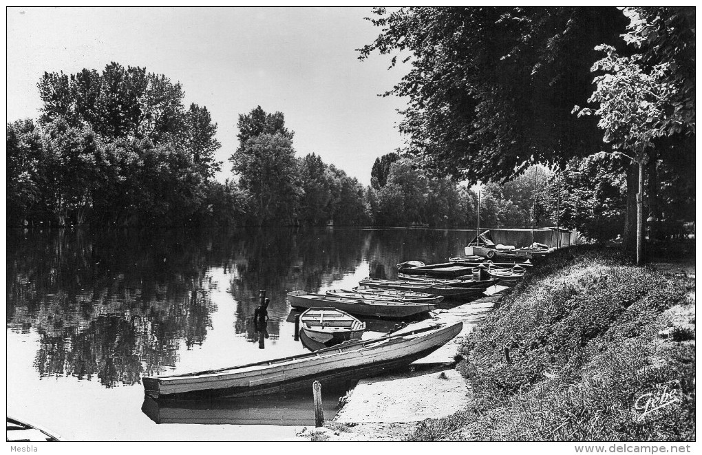 CPSM  -  Les Bords De La Seine à HARDRICOURT  (78) - Hardricourt