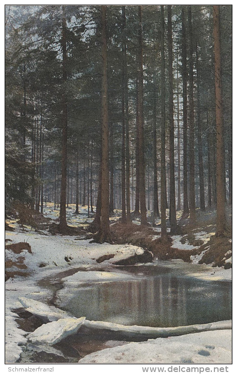 Photochromie AK Waldteich Sächsische Schweiz Serie 90 Winter Karte 2072 Nenke & Ostermaier Dresden - Rathmannsdorf (Sachsen)