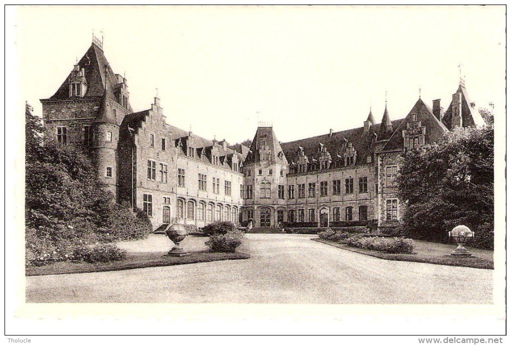 Ham-sur-Heure-Nalinnes (Thuin-Hainaut)Le Château-Edit. Brassini-Dubois-Ham-sur-Heure - Ham-sur-Heure-Nalinnes