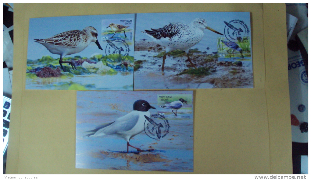 Maximum Cards Of Vietnam Viet Nam 2010 : Sea Birds / Bird (Ms992) - Viêt-Nam