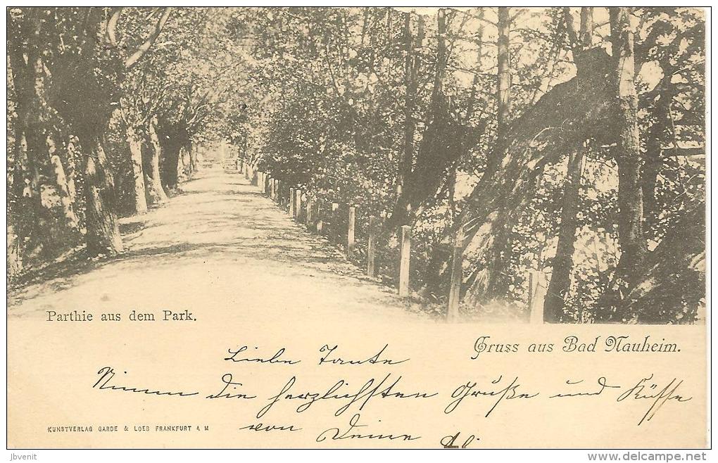 GERMANIA - HESSEN - Gruss Aus BAD NAUHEIM - Parthie Aus Dem Park 1898 - Bad Nauheim