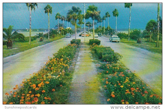 Flowerlined Causeway Connecting Clearwater With Clearwater Beach Florida - Clearwater