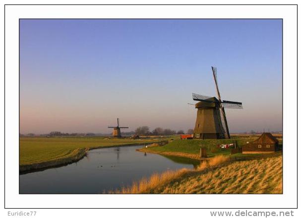 Windmills Of Pays Bas Postcard - Molinos De Viento