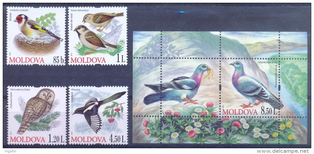 MD 2010- BIRDS, MOLDAVIA, 4v, MNH - Moldavie