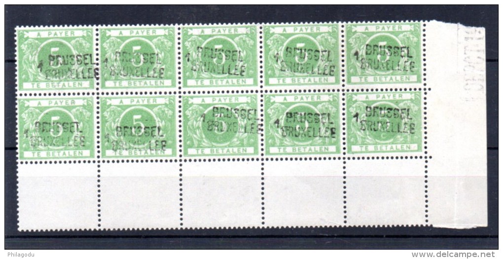 1895  Chiffre Dans Fond De Couleur, Bloc De 10 X  TX 3A**, Cote 210 €, - Briefmarken