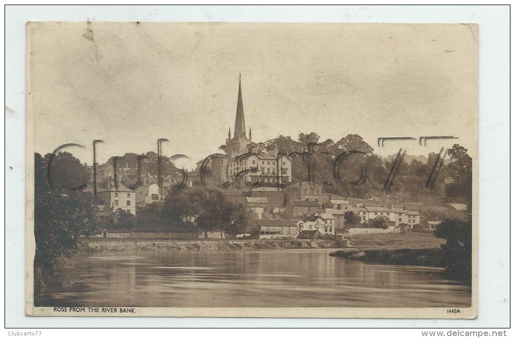Ross-on-Wye Ou Rhosan De Wy  (Royaume-Uni, Hereforshire) : The View Of Te River Bank 1n 1930 . - Herefordshire