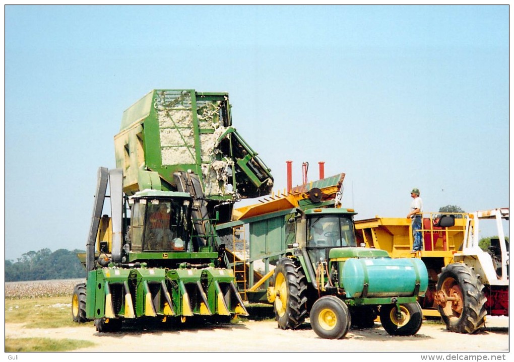 PHOTO 5 Photos Originales Récolte Du Coton En Louisianne -année 1998 (tracteur Tracteurs Récolte Agriculture Machine - Profesiones