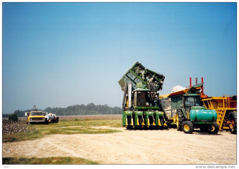 PHOTO 5 Photos Originales Récolte Du Coton En Louisianne -année 1998 (tracteur Tracteurs Récolte Agriculture Machine - Métiers