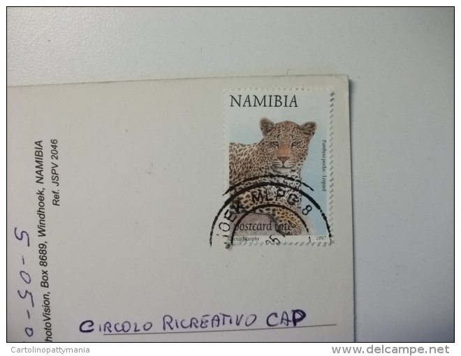 STORIA POSTALE FRANCOBOLLO Leopardo Namibia Namib Desert Series Sossus Vlei Invirons Namibia - Namibia