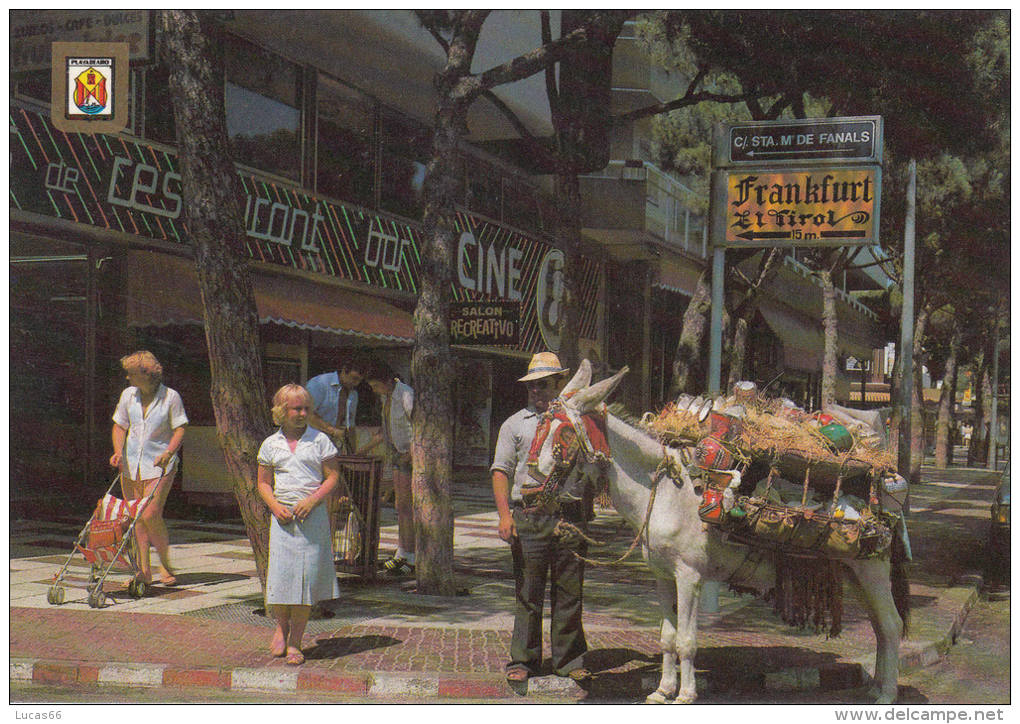 1980 CIRCA 8 POSTCARDS PLAYA DE ARO LOT - Otros & Sin Clasificación