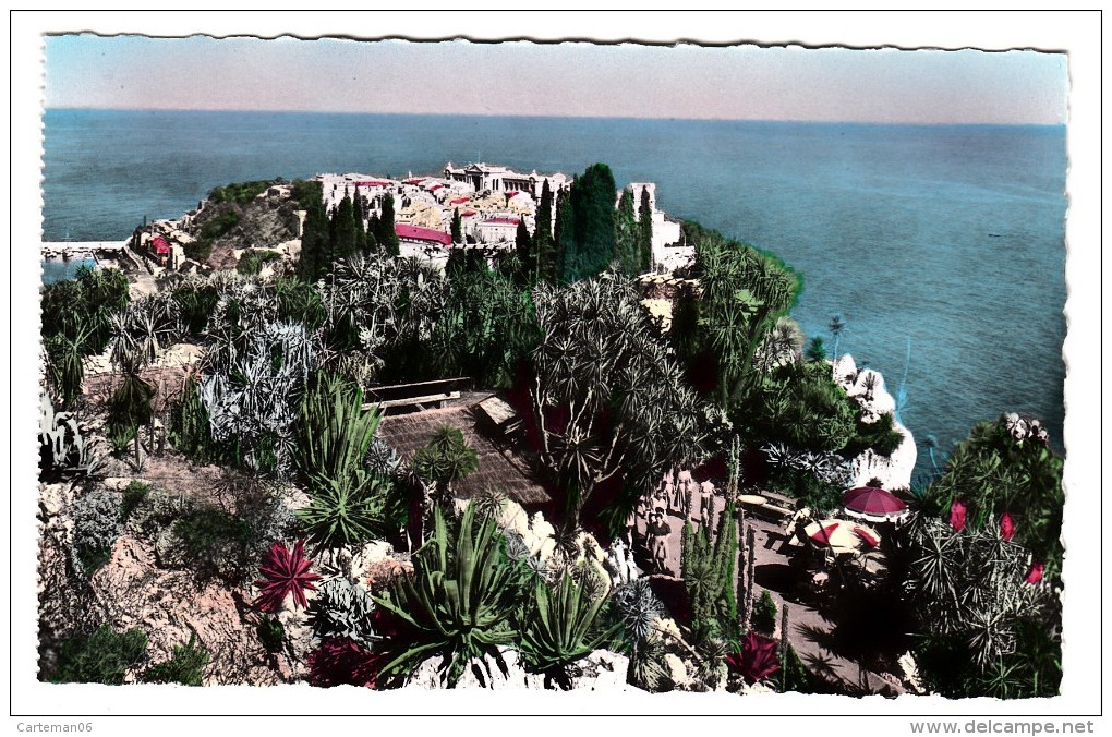 Monaco - Le Jardin Exotique - Au Fond Le Rocher De Monaco - Editeur: SEPT N° 1.76A - Exotische Tuin