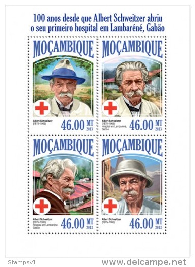 Mozambique. 2013 Albert Schweitzer. (503a) - Albert Schweitzer