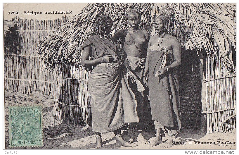 Afrique - Sénégal Guinée - Tribu Femmes Peulhes - Nu - Cachet Diorodgurou 1908 Loulay Charentes Maritime - Senegal