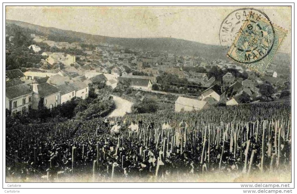 51 - AVENAY - Vue Prise Dans Les Vignes - Animée - Dos 1900 Non Divisé - Thème Vin, Champagne - Autres & Non Classés