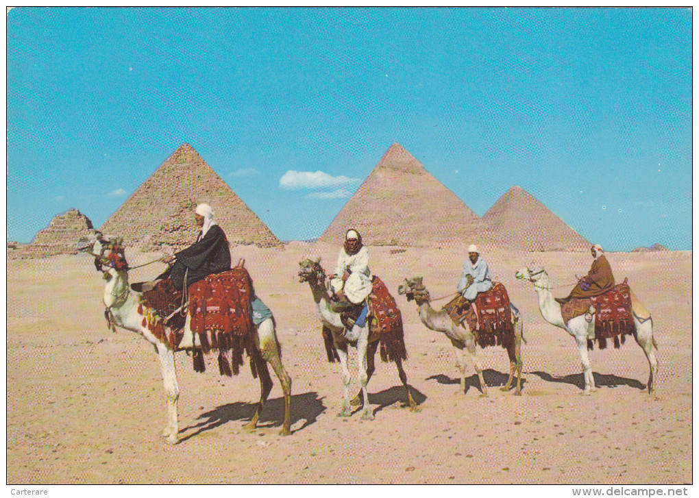 AFRIQUE,AFRICA,égypte,egypt,pyramide,pyramid Of GIZA,GIZEH,SPHINX,caravan E,chameau,arab Camelriders,cavalier, - Gizeh