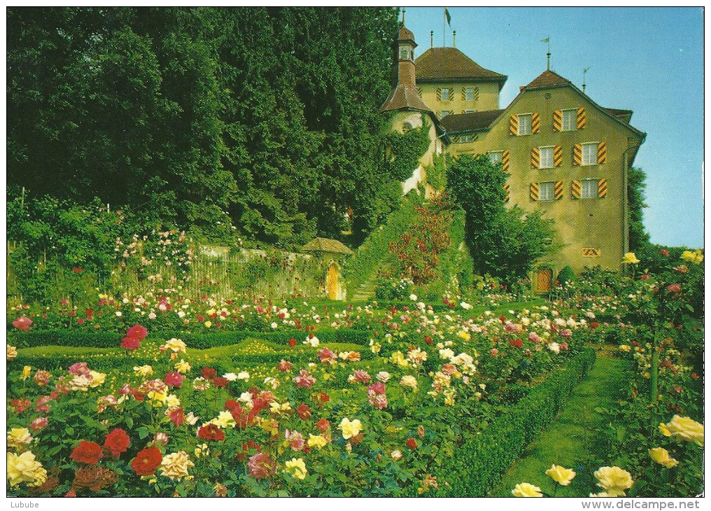 Gelfingen - Schloss Heidegg, Rosengarten         Ca. 1970 - Gelfingen