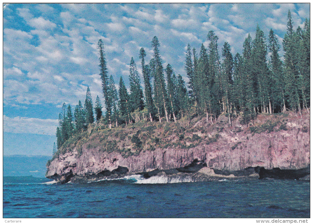 NOUVELLE CALEDONIE,NEW CALEDONIA,souveraineté Française,océan Pacifique,PLAGE,MARE,MER AGITEE,PHOTO LABOUTE - Nouvelle Calédonie