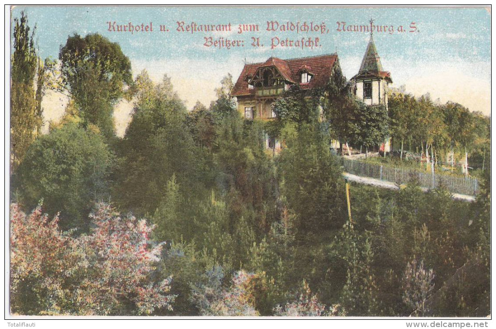 NAUMBURG Saale Kurhotel Restaurant Zum Waldschloß Besitzer U Petraschk Color 22.10.1911 Gelaufen - Naumburg (Saale)