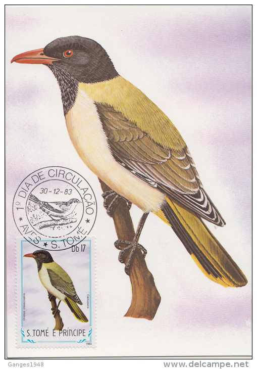 S. TOME E PRINCIPE  1983  Birds  CAMUSSELA  Maximum Card # 55835 - Songbirds & Tree Dwellers