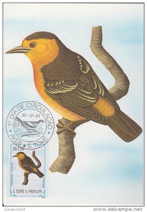 S. TOME E PRINCIPE  1983  Birds  TCHINTCHINXOLO  Maximum Card # 55824 - Songbirds & Tree Dwellers