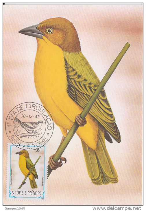 S. TOME E PRINCIPE  1983  Birds  PADE - CAMPO  Maximum Card # 55825 - Songbirds & Tree Dwellers