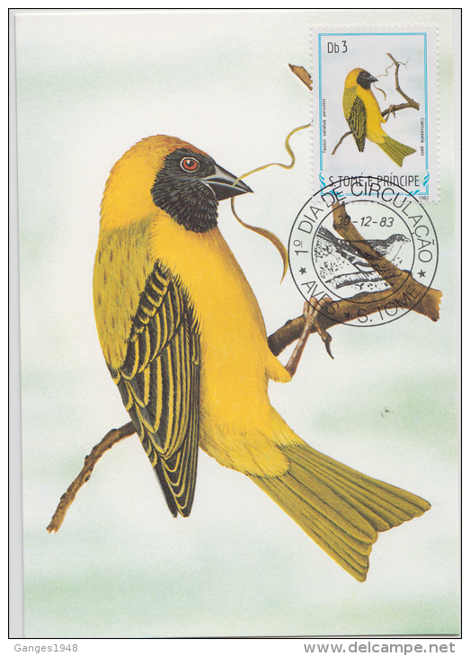 S. TOME E PRINCIPE  1983  Birds  CAMUSSELA GALO  Maximum Card # 55820 - Songbirds & Tree Dwellers
