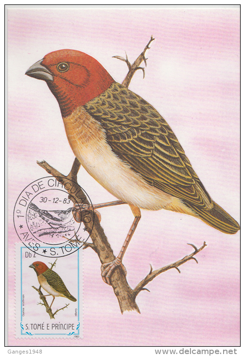S. TOME E PRINCIPE  1983  Birds  GUNGU  Maximum Card # 55818 - Songbirds & Tree Dwellers