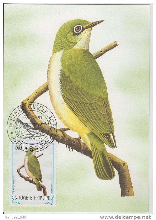 S. TOME E PRINCIPE  1983  Birds  TCHINLINTCHILI  Maximum Card # 55833 - Songbirds & Tree Dwellers