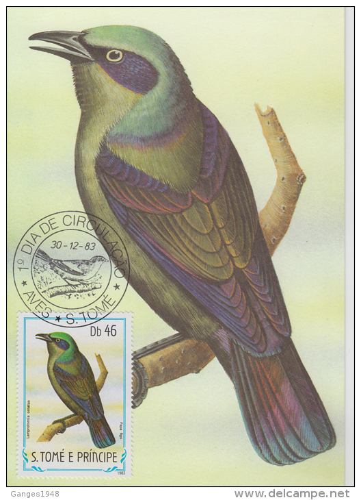 S. TOME E PRINCIPE  1983  Birds  PAPA FIGO  Maximum Card # 55830 - Songbirds & Tree Dwellers