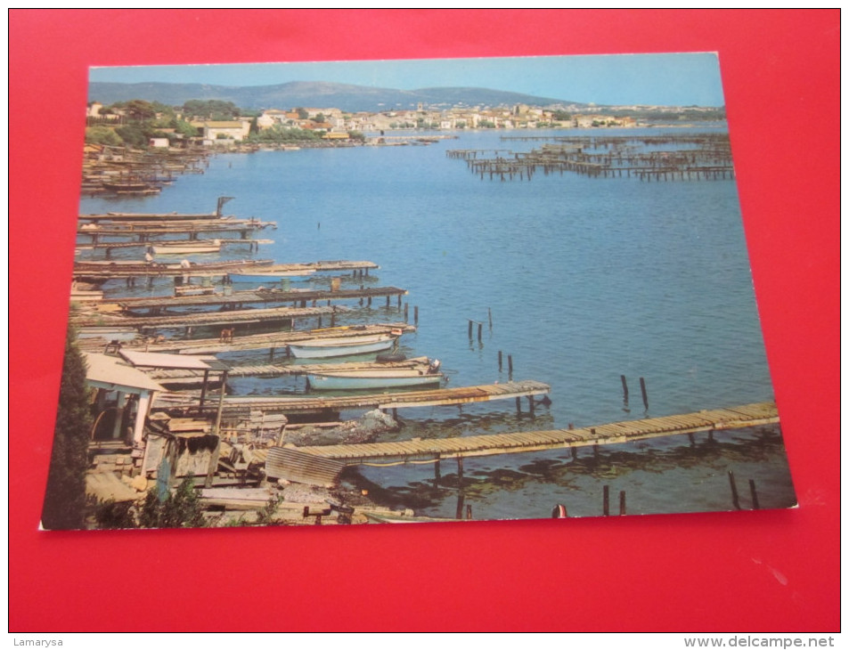 CPM De BOUZIGUES 34140 Hérault Situé Sur Le Bassin De Thau Réputé Pour Ses Coquillages De Mer Moules Et  Huîtres - Andere & Zonder Classificatie