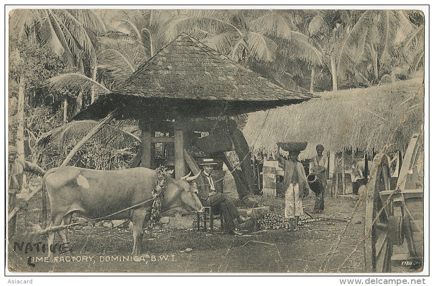 Dominica Lime Factory Pressoir Moulin Mill Stamped 1916 Edit Hotel De Paz Poor Condition - Dominique