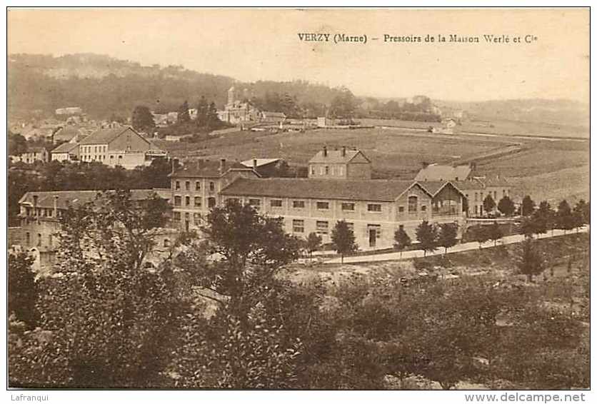 Marne - Ref A455- Verzy  -  Pressoirs De La Maison Werlé Et Cie  -carte Bon Etat  - - Verzy