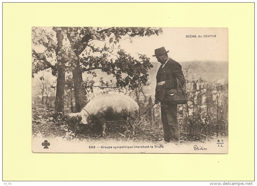 Scene Du Centre - Groupe Sympathique Cherchant La Truffe - Centre-Val De Loire