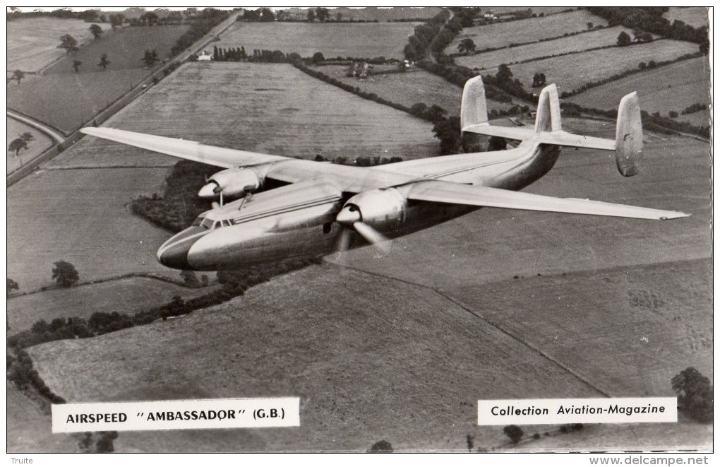 AVIONS AIRSPEED "AMBASSADOR" (GB) CARTE PHOTO - 1946-....: Moderne