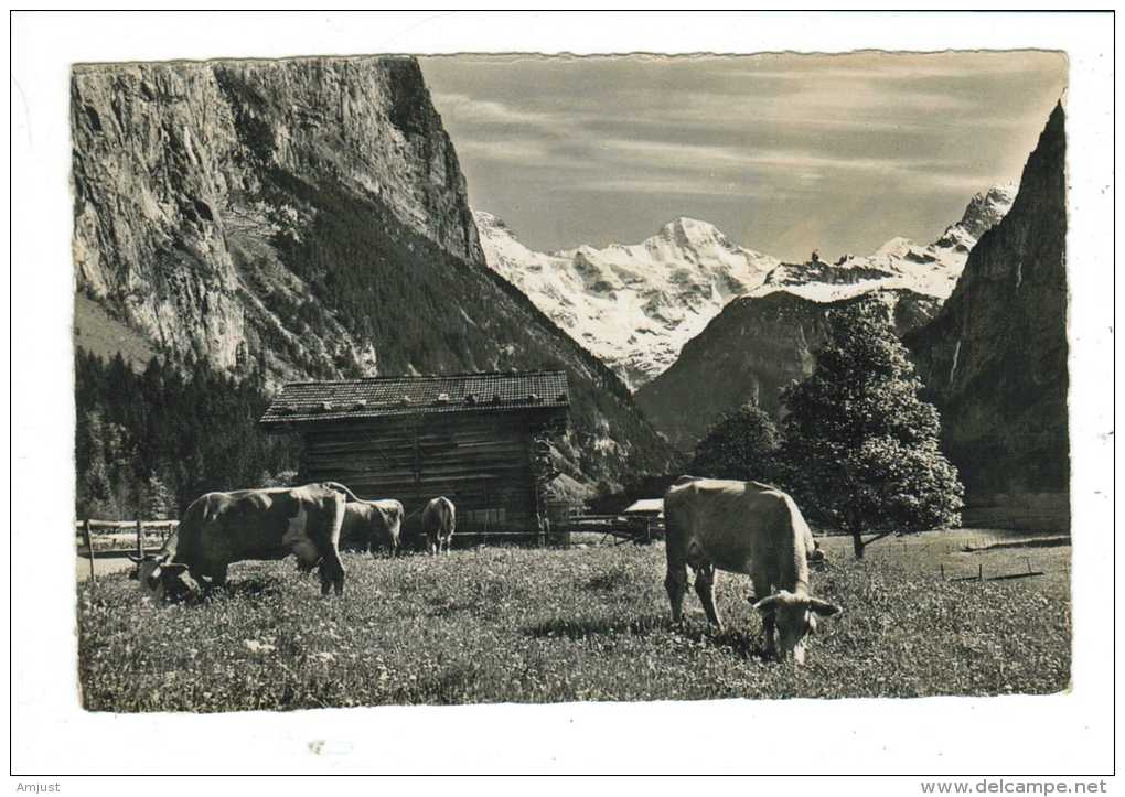 Suisse // Schweiz // Berne // Lauterbrunnen - Berne