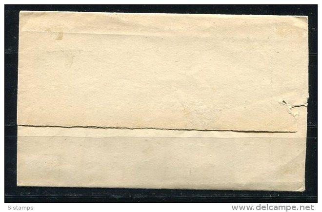 Germany 1869 Nice Baden  Letter Wrapper Waldkirch To Bungholz - Other & Unclassified